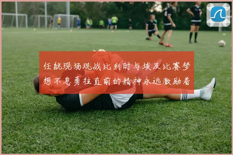 任航现场观战比利时与埃及比赛梦想不息勇往直前的精神永远激励着我们