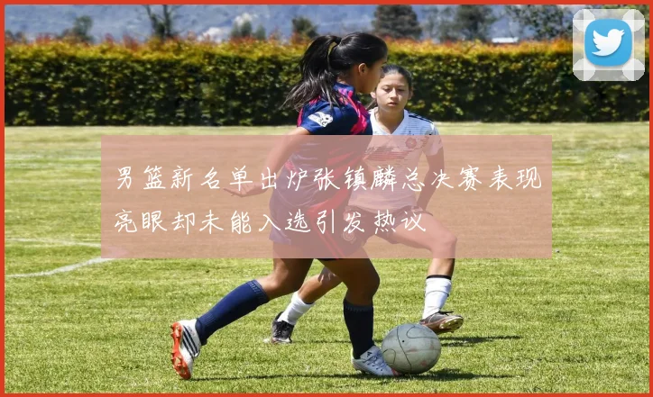 男篮新名单出炉张镇麟总决赛表现亮眼却未能入选引发热议