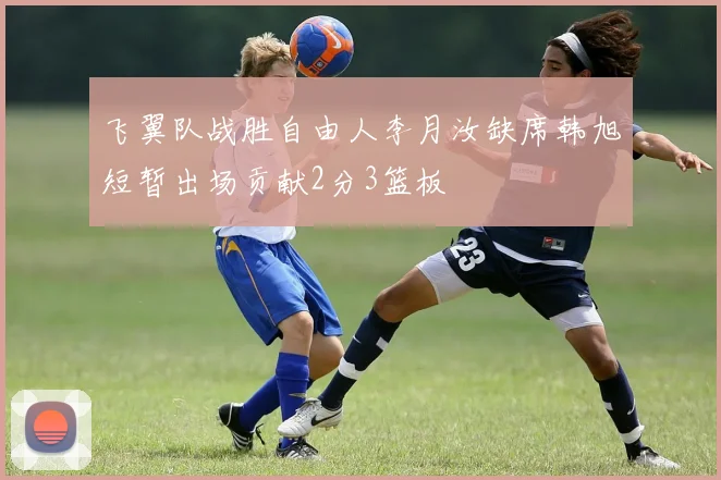 飞翼队战胜自由人李月汝缺席韩旭短暂出场贡献2分3篮板